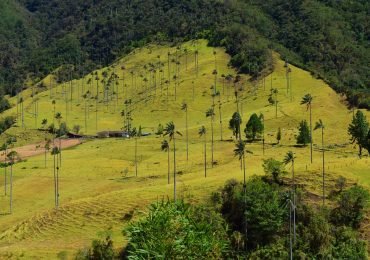 Kombireise Kolumbien und Panamá