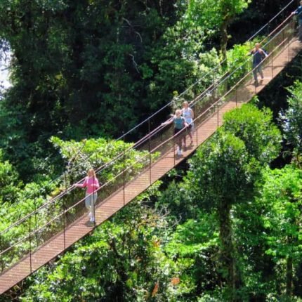 Boquete Trek in Panama