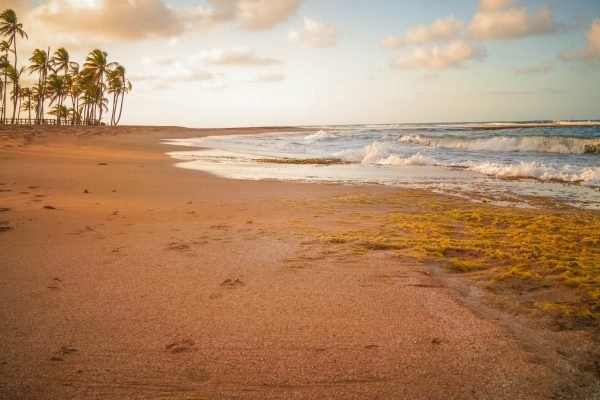 merlyn-curci-Uil4Y8spEfI-unsplash