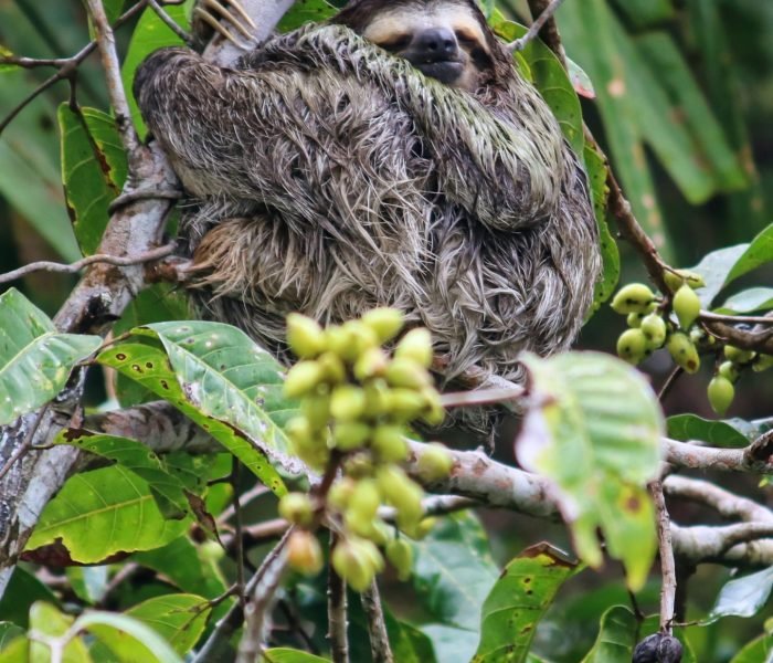 Punta Culebra Nature Center